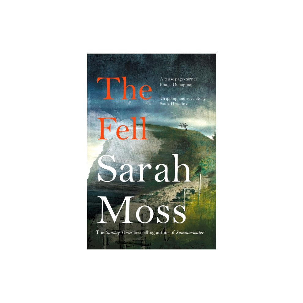 Riachristiecollections The Fell By Sarah Moss Paperback Book