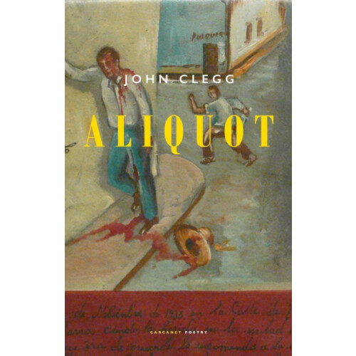 Aliquot by John Clegg Paperback Book