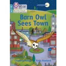 Barn Owl Sees Town by Charlotte Raby Paperback Book