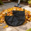 Professional Vacuum Bag Accessory Secure Zip Fastener 4 Straps 2