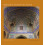 Iranian Architecture by Sohrab Sardashti Hardcover Book 1