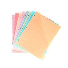 Colorful Binder Dividers 3 Holes Designs Sturdy PP for Notebook
