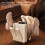 Dense Electric Shoe Dryer Developed for Various Materials 7