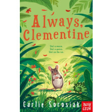 Always Clementine by Carlie Sorosiak Paperback Book