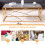AINPECCA Gold Coffee Table Stainless Steel Tempered Glass 6