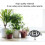 Supporto per vaso in ferro battuto 23x23x6 cm nero 10