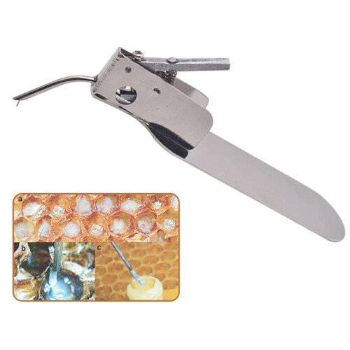 Accuracy Engineered Queen Pupa Grafting Instrument Oxidation 1