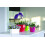 Prosperplast COUBI DUOP155 Blumentopf mit Untersetzer | Graphit 3