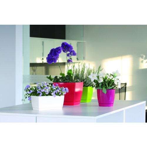Prosperplast COUBI DUOP155 Blumentopf mit Untersetzer | Graphit 2