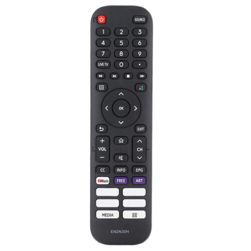 Télécommande 55H6G/65H6G/43H6G/50H6G noir ABS 2xAAA 1