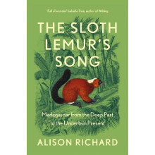 The Sloth Lemurs Song by Alison Richard Paperback Book