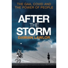 After the Storm by Damian Lawlor Paperback Book