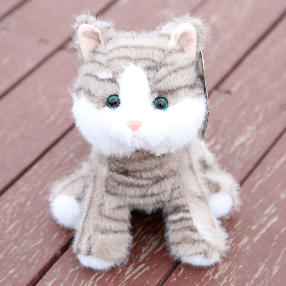 (Gray) Gray Orange Cute Blue Yellow Cat Plush Doll Children Toy Gift For Birthday-image-OPC-PMRKDSG-NEW