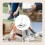 Multifunctional Electric Shoe Dryer 150W Intelligent 4