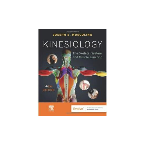 Kinesiology by Muscolino Joseph E. Instructor Purchase College State U