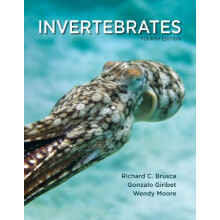Invertebrates by Moore Wendy University of Arizona Paperback Book