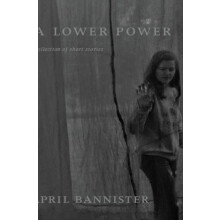 A Lower Power by April Bannister Hardcover Book
