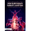 Contemporary Dance Lighting by Vickie J. Scott Paperback Book 1