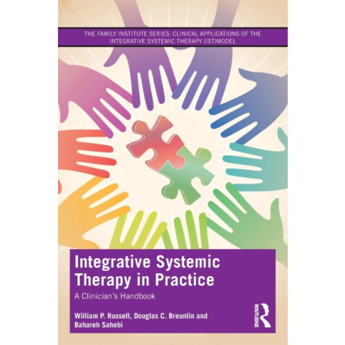 Integrative Systemic Therapy in Practice by Bahareh Sahebi Paperback B