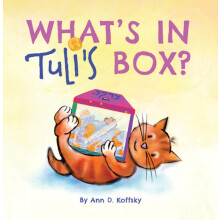 Whats in Tulis Box by Ann D. Koffsky Hardcover Book