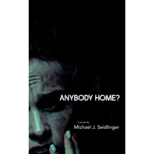 Anybody Home by Michael J. Seidlinger Paperback Book