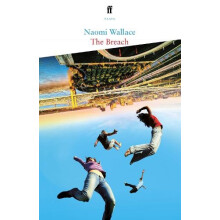 The Breach by Naomi Wallace Paperback Book