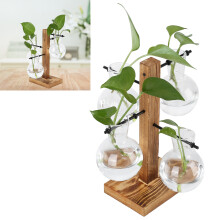 Hydroponische Glasvase mit Kiefernständer, 21 cm hoch, Wohndekoration