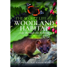 The Secret Life of a Woodland Habitat by Chloe Valerie Harmsworth Hard