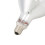 Red Brooder Heat Bulb 250W 220V for Chickens & Small Pets 12