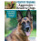 Positive Training for Aggressive amp Reactive Dogs by Annie Phenix Pap 1