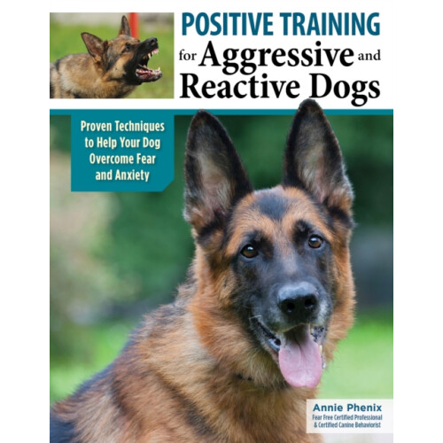 Positive Training for Aggressive amp Reactive Dogs by Annie Phenix Pap