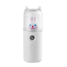 Gesichtsnebelsprüher, 30 ml, wiederaufladbar über
