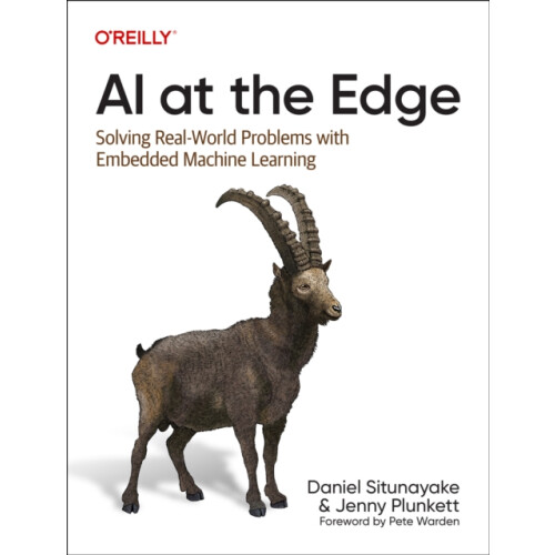 AI at the Edge by Jenny Plunkett Paperback Book