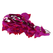 T-1034J1 Piante per rettili 30 g Colore: Come mostrato