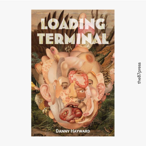Loading Terminal by Danny Hayward Paperback Book