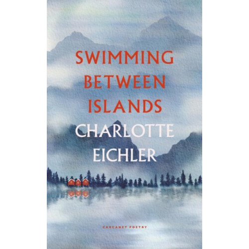 Swimming Between Islands by Charlotte Eichler Paperback Book