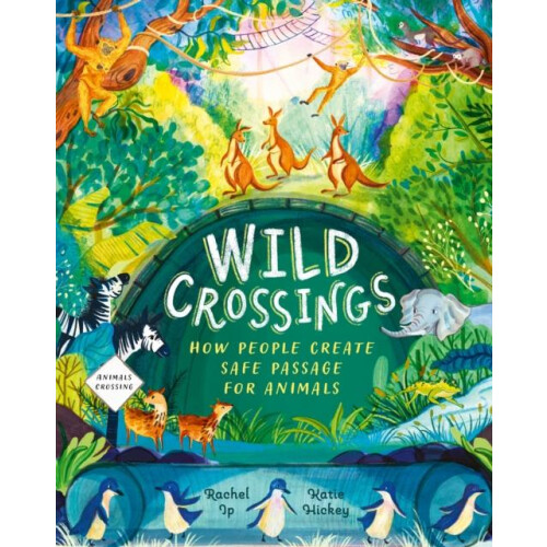 Wild Crossings by Rachel Ip Paperback Book