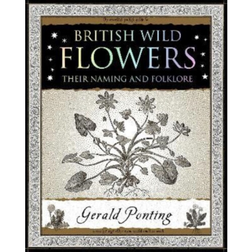 British Wild Flowers by Gerald Ponting Paperback Book