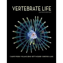 Vertebrate Life by Christine M. Janis Paperback Book