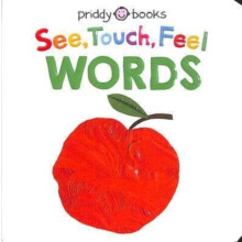 See Touch Feel Words by Roger Priddy Other Book