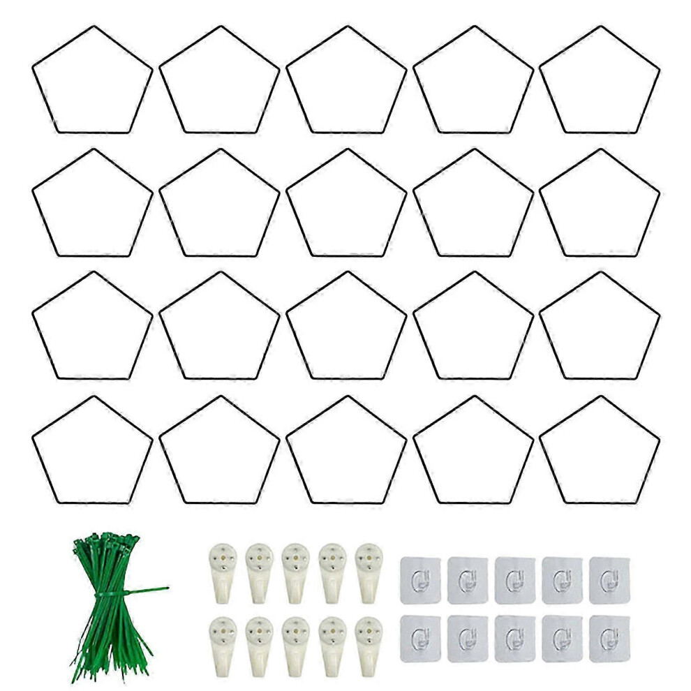 (B) Chain trellis for climbing plants, pentagonal ring, stainless steel vine support kit, garden wall decoration for Pothos vines Jikaix