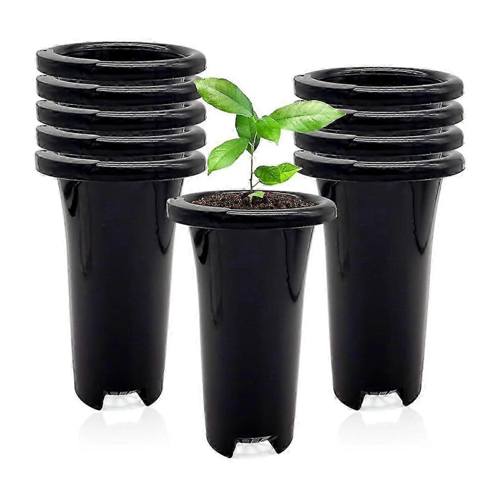 Set of 10 deep, thick, stable, reusable plastic nursery pots for seedlings