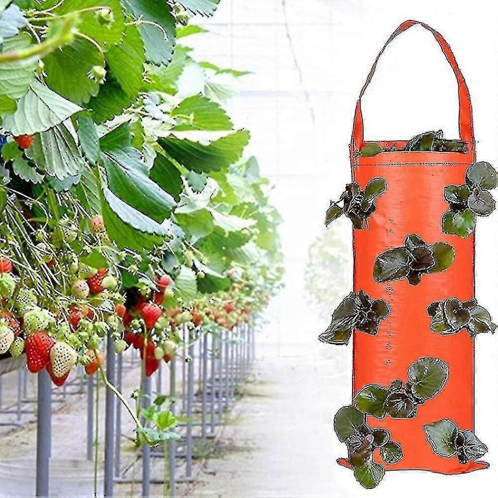 (-8 Holes) Strawberry Grow Bag 4/8 Holes Hanging Strawberry Planting Bag Sturdy Fabric Flower Garden Planter Orange