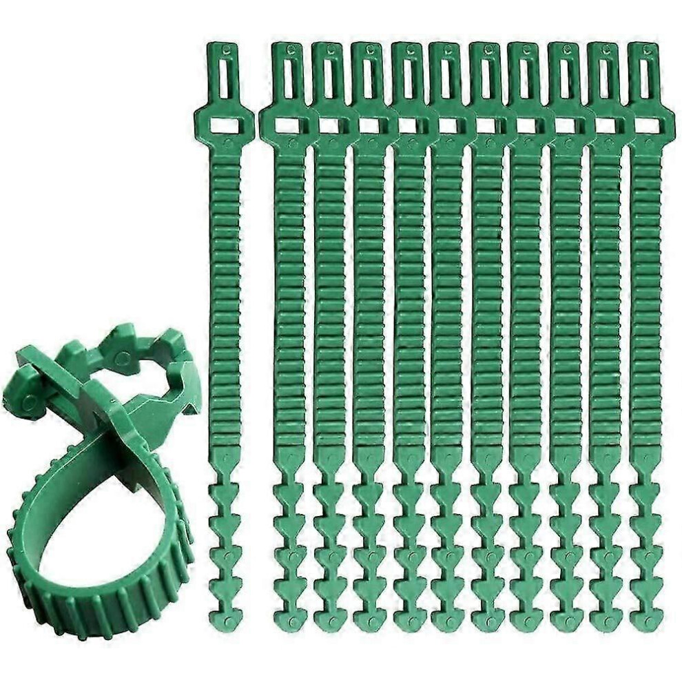 Pack of 10 sturdy plant ties, 35 cm, adjustable, for the garden, for supporting rose bushes.