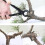 Round-mouth bonsai pruner, garden maintenance tools 4