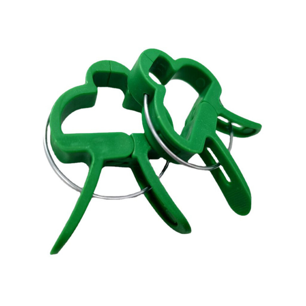 50 Pieces Household Garden Plant Grafting Clamp Vine Clip Assorted Kit-image-OPC-PMRTHRZ-NEW