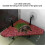 Floating Turtle Platform Dock for Small Reptiles, 14x14x20cm 4