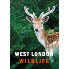 West London Wildlife by Susanne Masters Hardcover Book