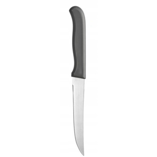 Køkkenkniv med sav Denis 21cm 1
