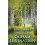 Beginners Guide to Ogham Divination A by Ceri Norman Paperback Book 1